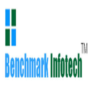 Bench Mark Infotech Services logo