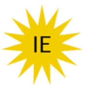 IC Electricals Company logo