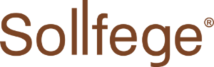 સોલ્ફેજ સ્માર્ટ ઇલેક્ટ્રોનિક્સ logo